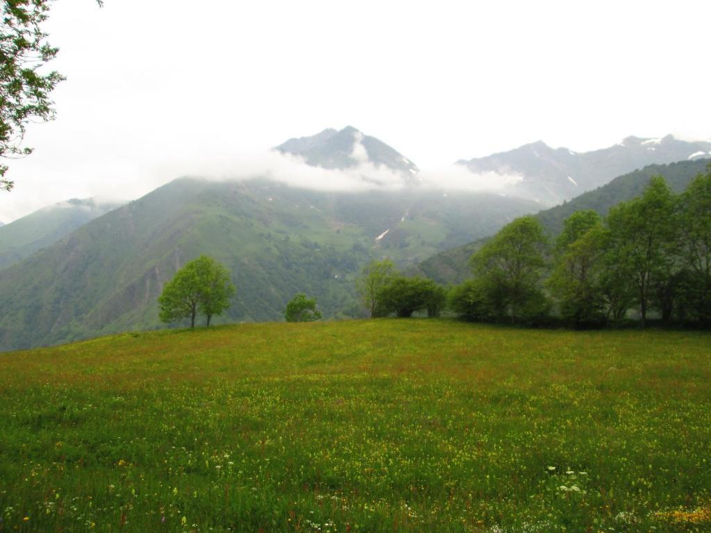 Logis Hotel Le Central Bareges Bagian luar foto